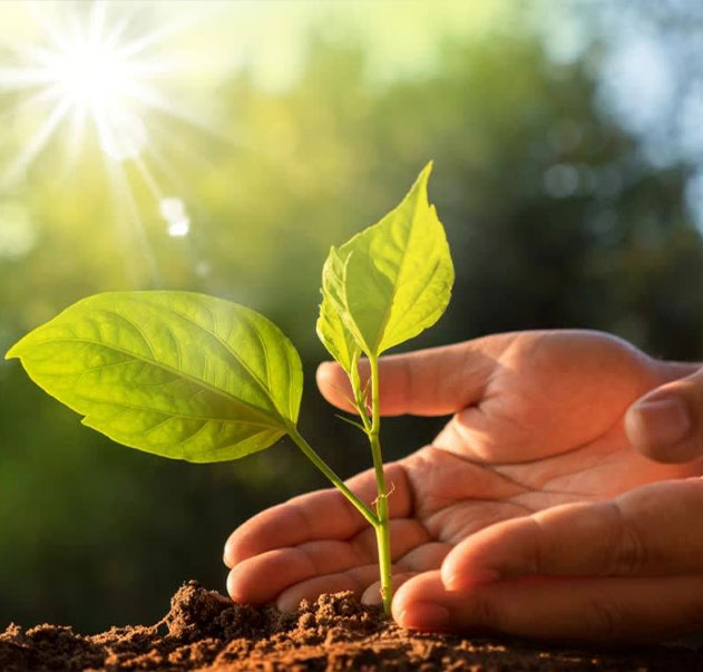 Jiangsu Shixin Adhesive Tape Products Co, Ltd.