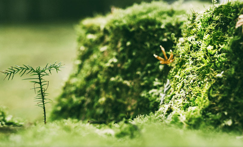 Jiangsu Shixin Adhesive Tape Products Co, Ltd.